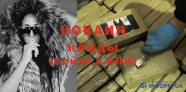 крисы Дмитров