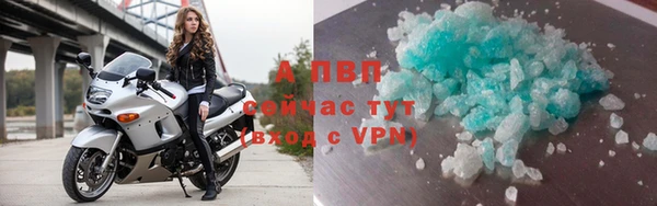 ПСИЛОЦИБИНОВЫЕ ГРИБЫ Дмитриев