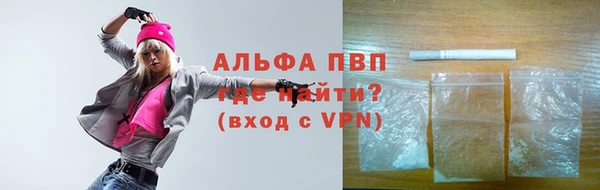 ПСИЛОЦИБИНОВЫЕ ГРИБЫ Дмитриев