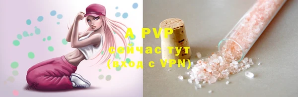 ПСИЛОЦИБИНОВЫЕ ГРИБЫ Дмитриев
