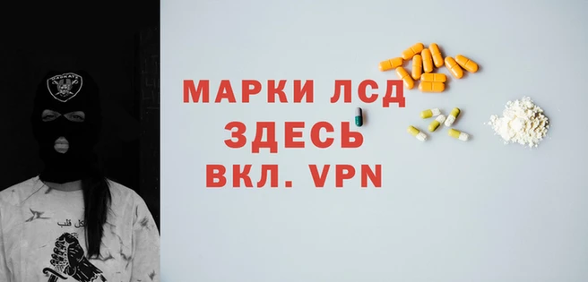 крисы Дмитров