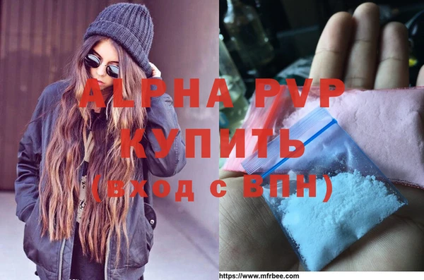 ПСИЛОЦИБИНОВЫЕ ГРИБЫ Дмитриев