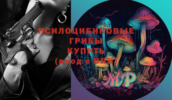 ПСИЛОЦИБИНОВЫЕ ГРИБЫ Дмитриев
