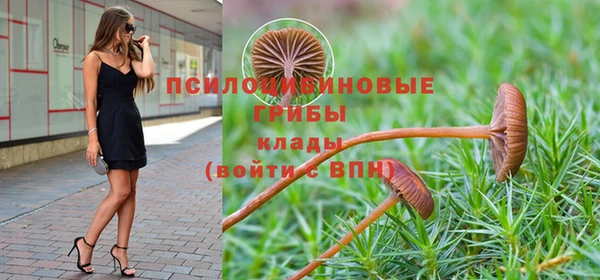 крисы Дмитров