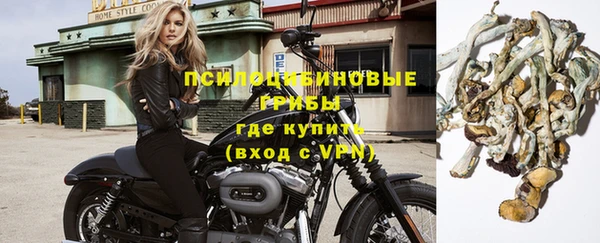 крисы Дмитров