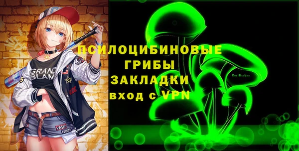 ПСИЛОЦИБИНОВЫЕ ГРИБЫ Дмитриев