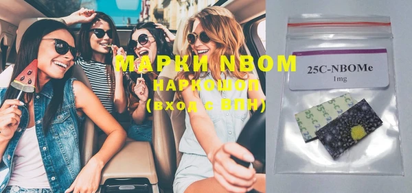 крисы Дмитров
