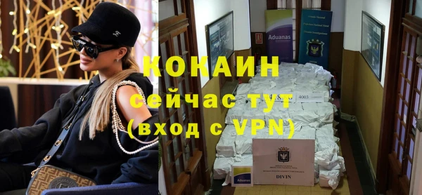 ПСИЛОЦИБИНОВЫЕ ГРИБЫ Дмитриев
