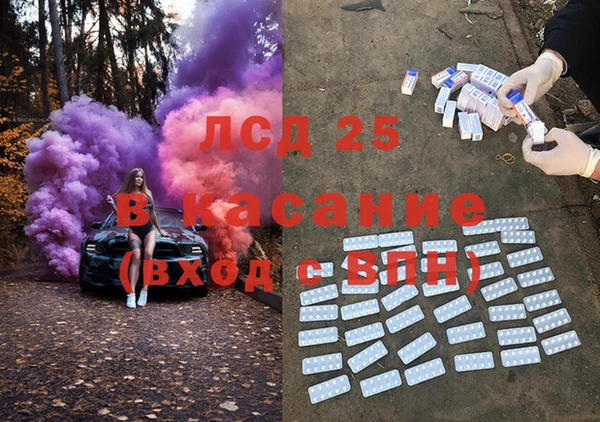 ПСИЛОЦИБИНОВЫЕ ГРИБЫ Дмитриев