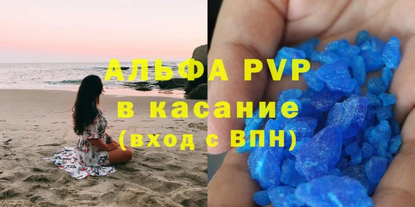 ПСИЛОЦИБИНОВЫЕ ГРИБЫ Дмитриев
