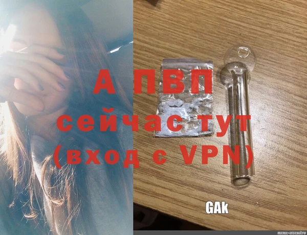 ПСИЛОЦИБИНОВЫЕ ГРИБЫ Дмитриев